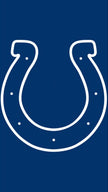 I.Colts - 3’ x 3’ ft