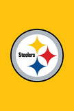 P. Steelers - 5’ x 5’ ft