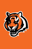 Bengal - 2’ x 2’ ft