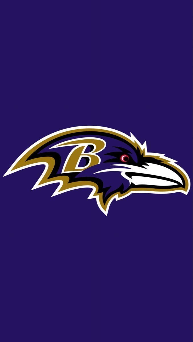 B. Ravens  - 2’ x 5’ ft