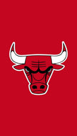 C. Bulls - 3’ x 3’ ft