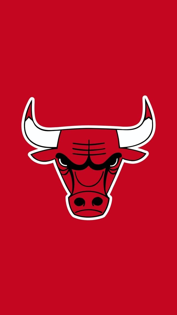 C. Bulls - 3’ x 3’ ft