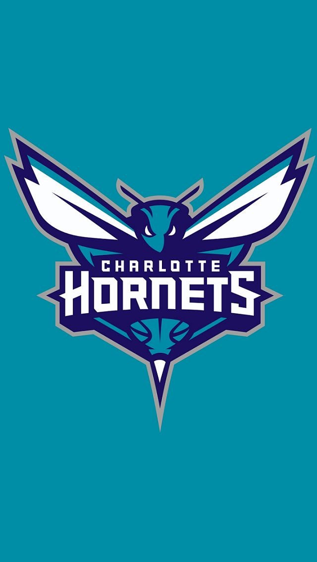 C.Hornets - 3’ x 4’ ft