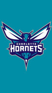 C.Hornets - 3’ x 4’ ft