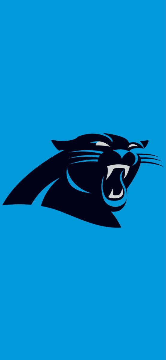 C. Panthers - 4’ x 4’ ft